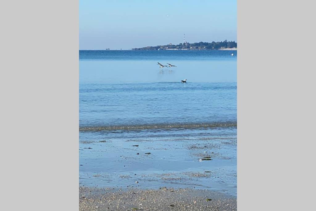 Cap Coz Sea Side Fouesnant Appartement Buitenkant foto